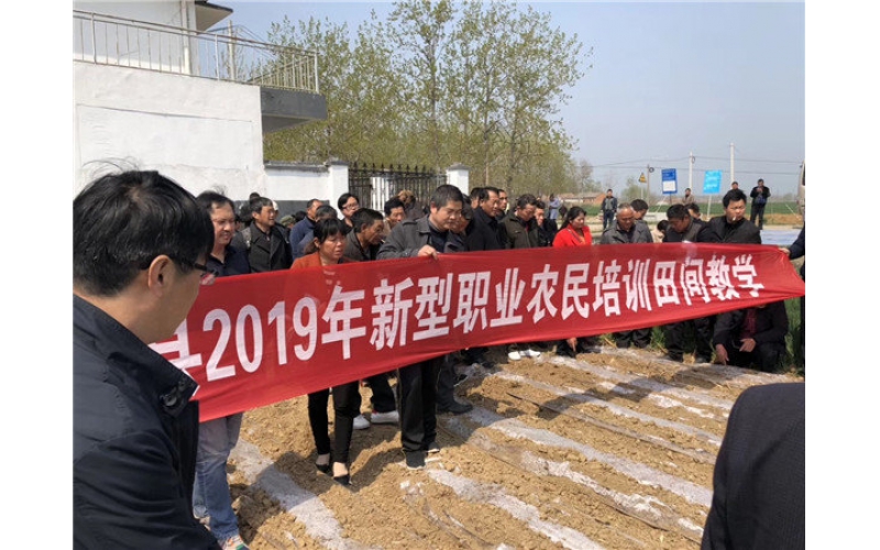 山東臨沭東泰機(jī)械助力江蘇省泗洪縣2019年花生產(chǎn)業(yè)發(fā)展！
